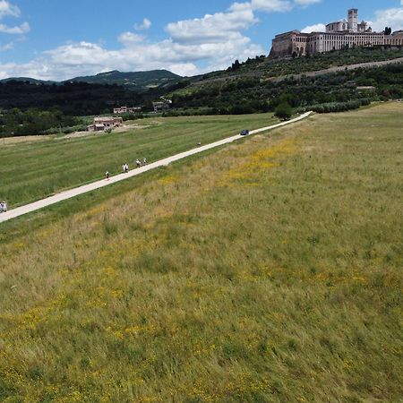 Agriturismo Molinella Assisi Exteriör bild