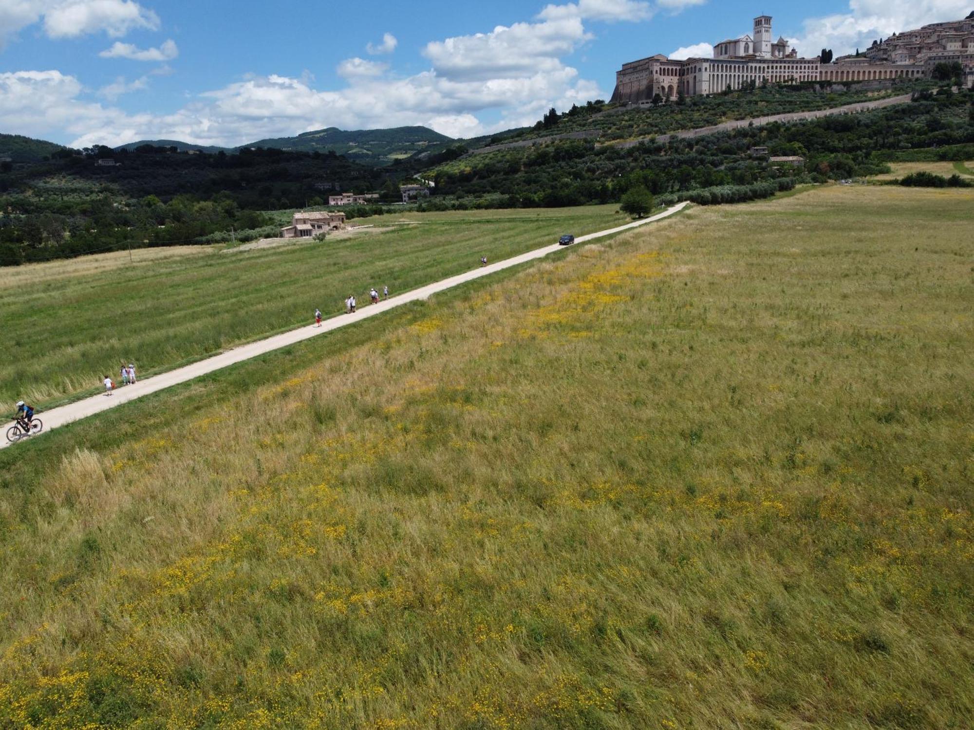 Agriturismo Molinella Assisi Exteriör bild